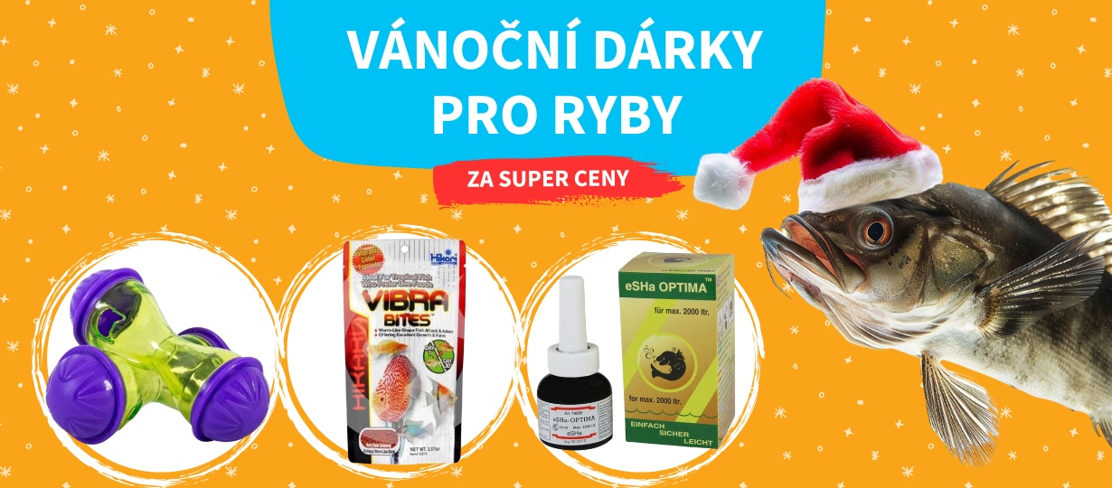 vanoce_ryby
